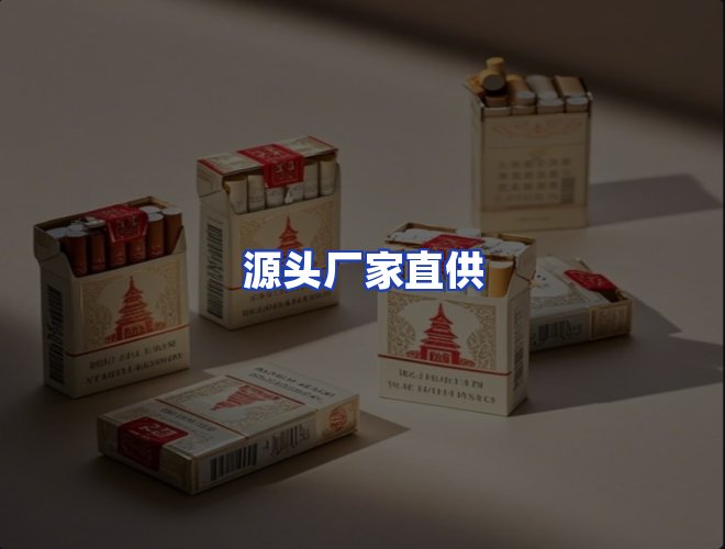 专业团队